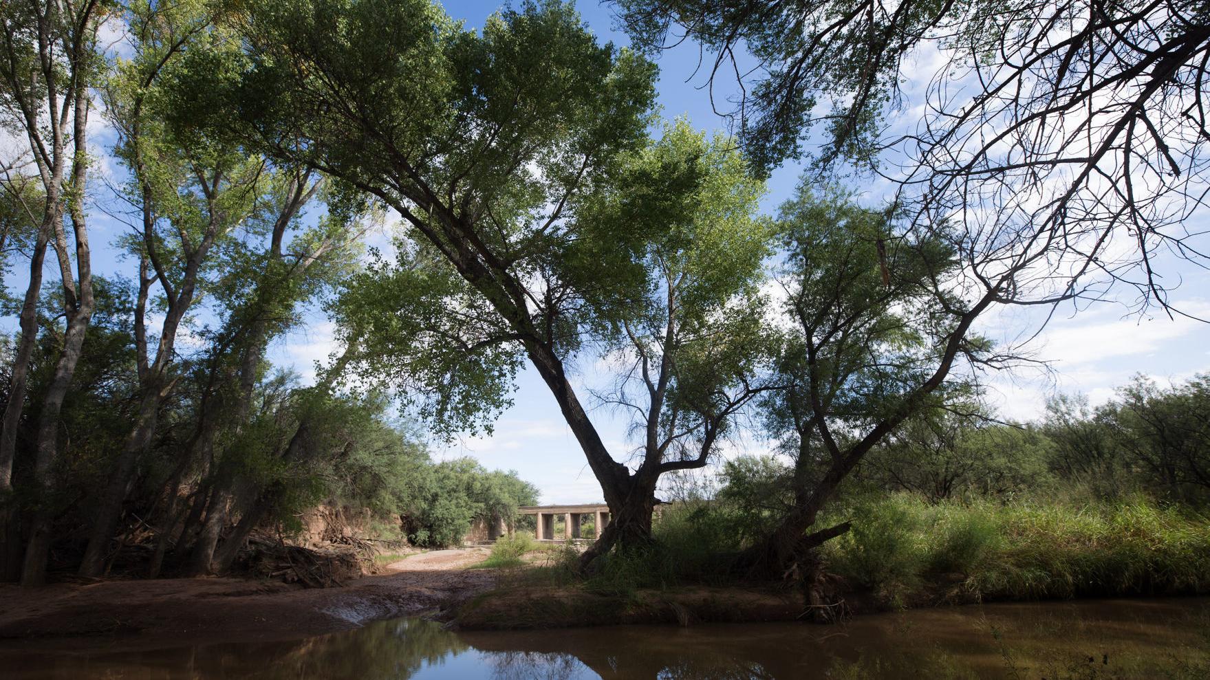 Rare talks to avoid lawsuit may pit Fort Huachuca jobs vs. San Pedro water needs